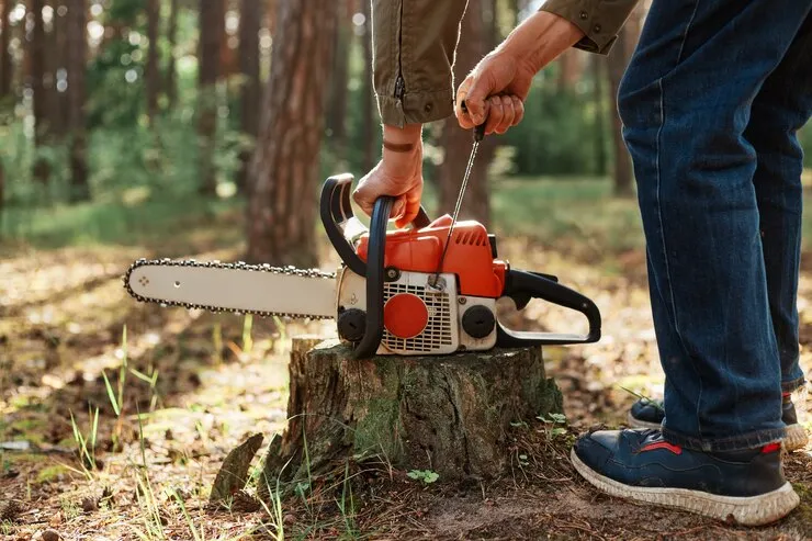 Close-up of a chainsaw resting on a freshly cut stump before grinding in Huntsville, TX